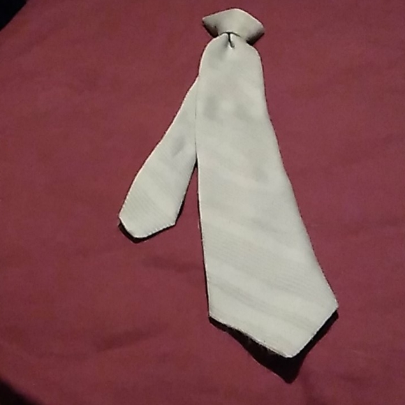 Necktie - Picture 3 of 7